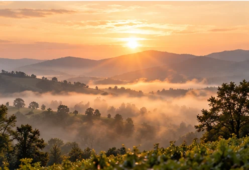 Peaceful sunrise over misty hills